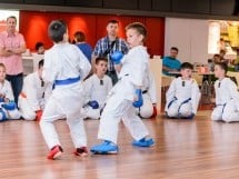 Demonstrativ Karate