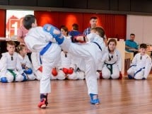 Demonstrativ Karate