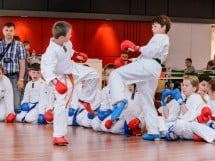 Demonstrativ Karate