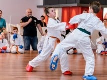 Demonstrativ Karate