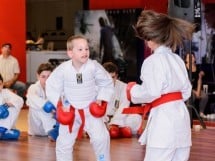 Demonstrativ Karate