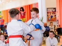 Demonstrativ Karate