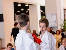 Demonstrativ Karate