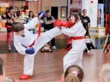 Demonstrativ Karate