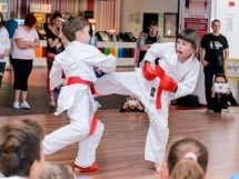 Demonstrativ Karate