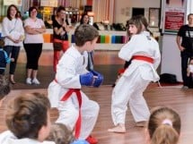 Demonstrativ Karate