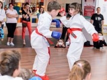 Demonstrativ Karate