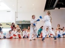 Demonstrativ Karate