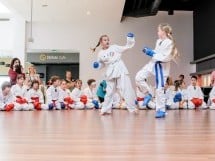 Demonstrativ Karate