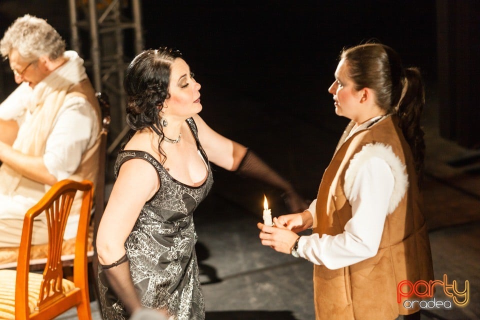 Deschiderea FITO 2015 - Livada de Vişini - Premieră, Teatrul Regina Maria