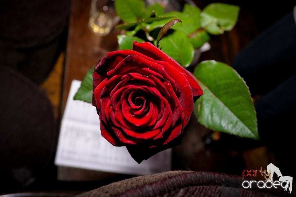 Distracţia continuă în Escape, 