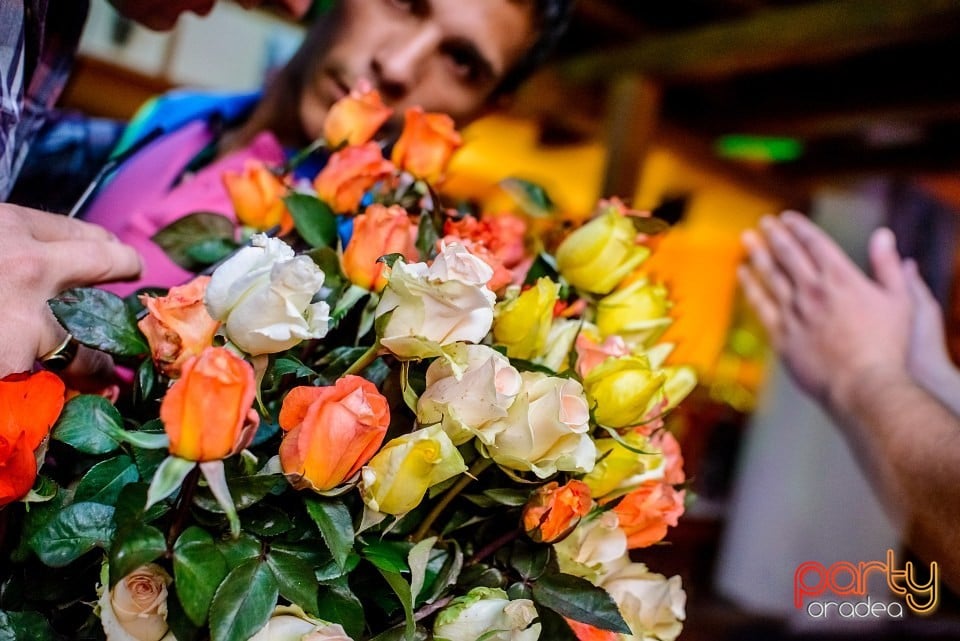 Distracţie în Window, 