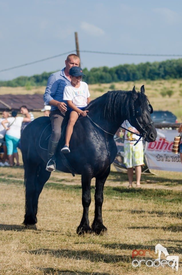 Distractie si concursuri la Rodeo, Băile Felix