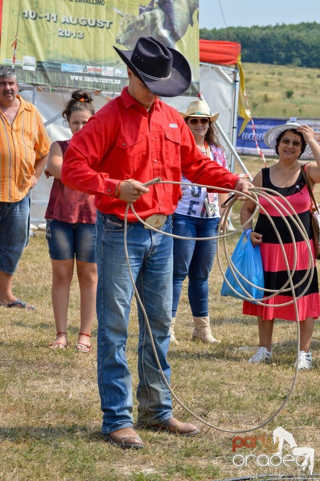 Distractie si concursuri la Rodeo, Băile Felix