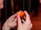 Erotism fără punctuaţie