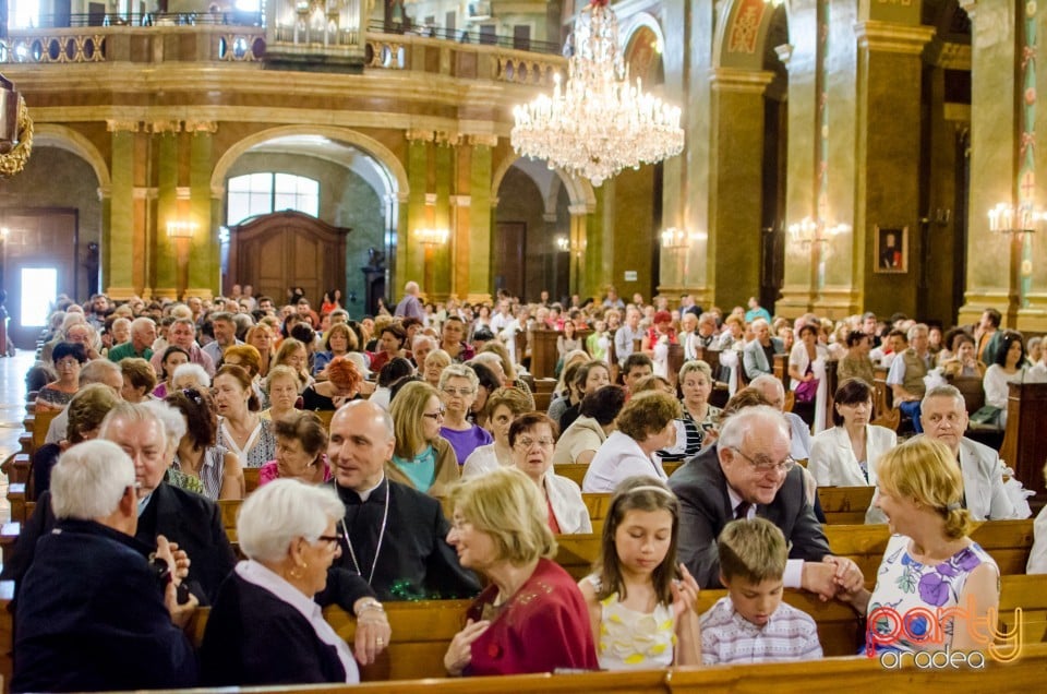 European Music Open, Oradea