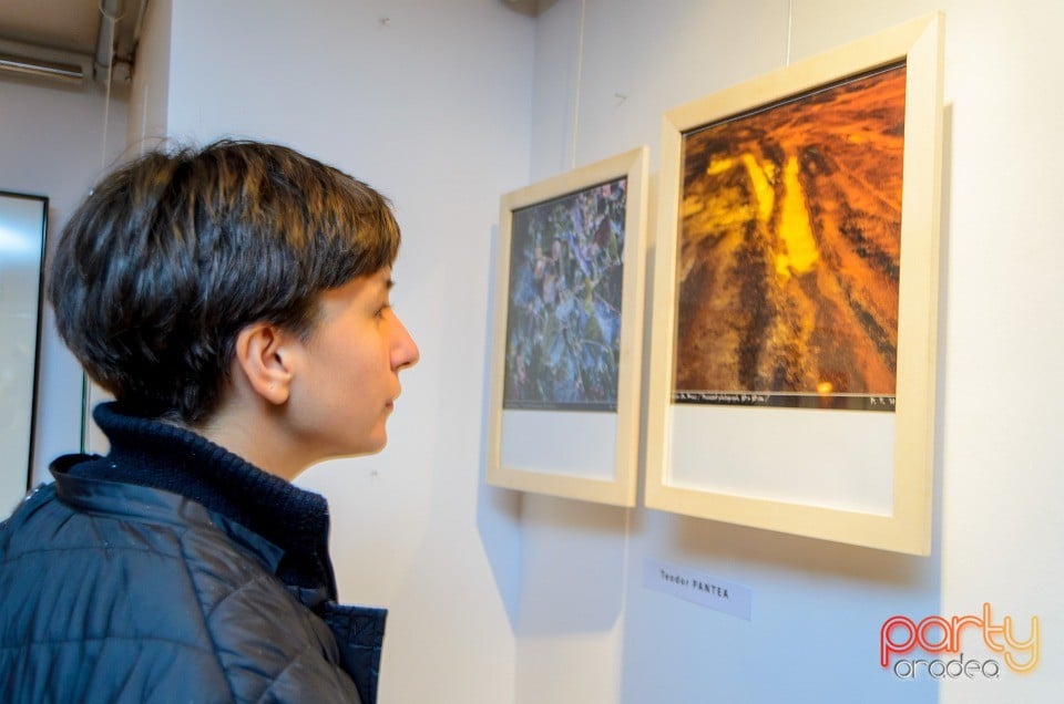 Expoziţia