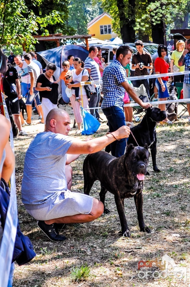 Expozitie canina, Oradea