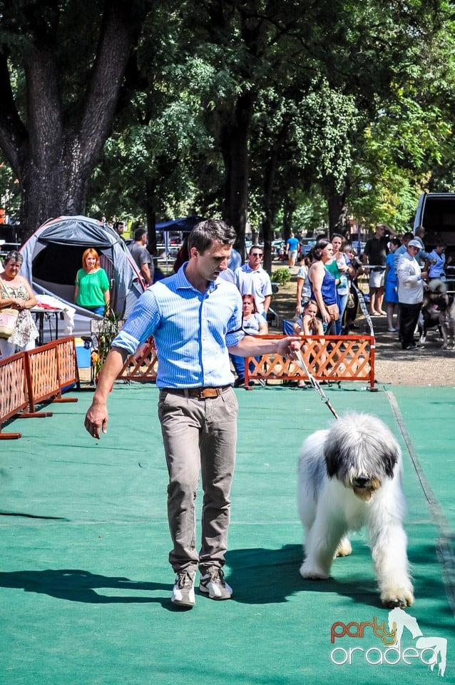 Expozitie canina, Oradea