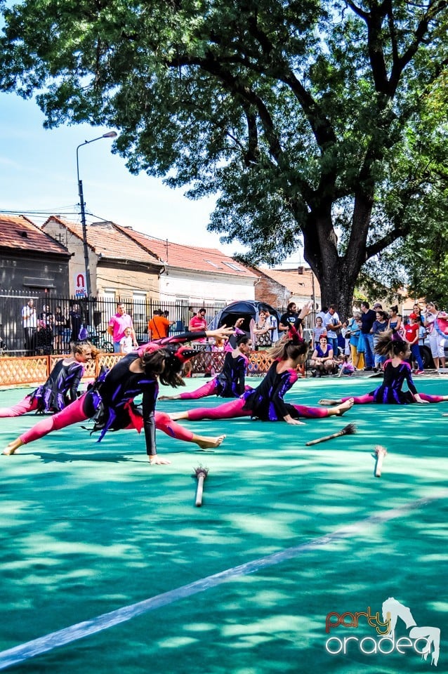 Expozitie canina, Oradea