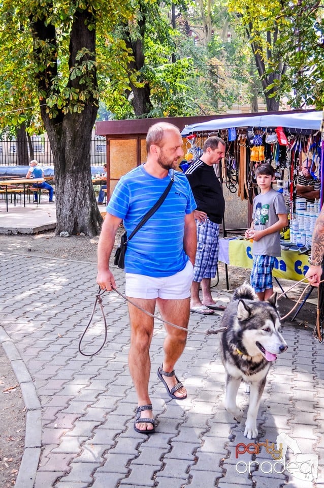 Expozitie canina, Oradea