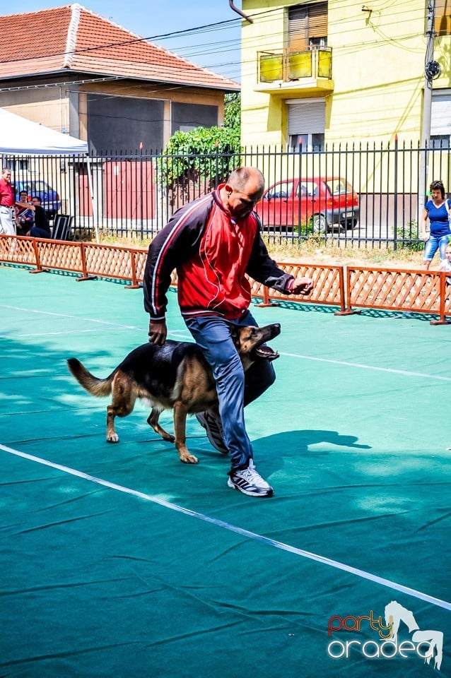 Expozitie canina, Oradea