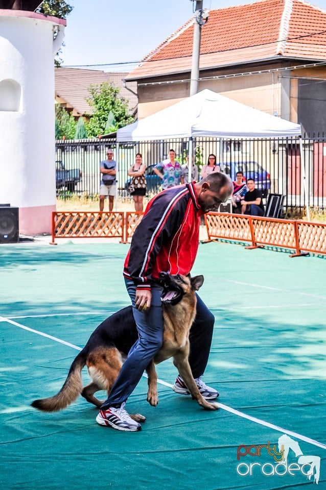 Expozitie canina, Oradea