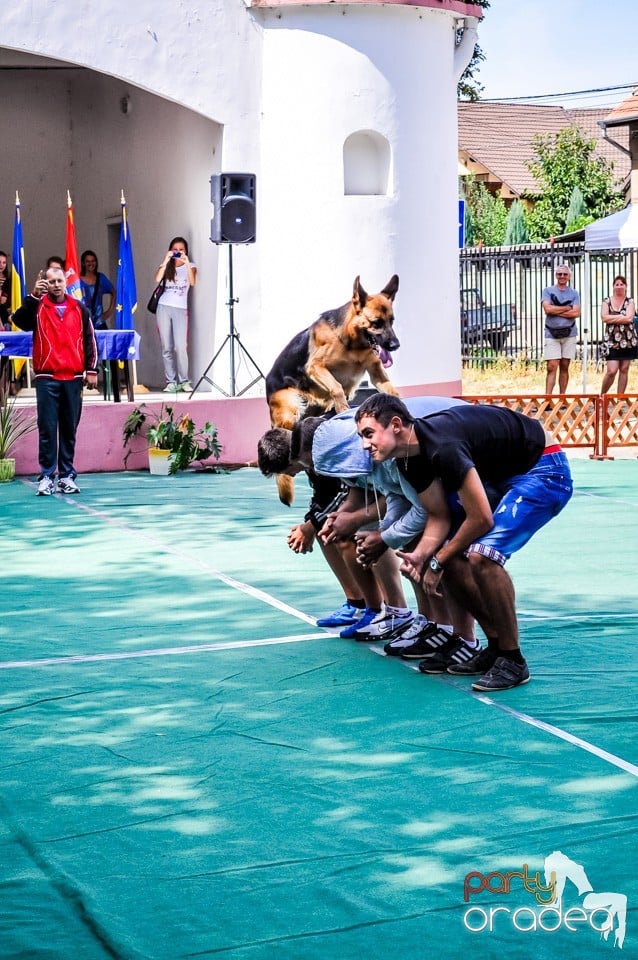 Expozitie canina, Oradea