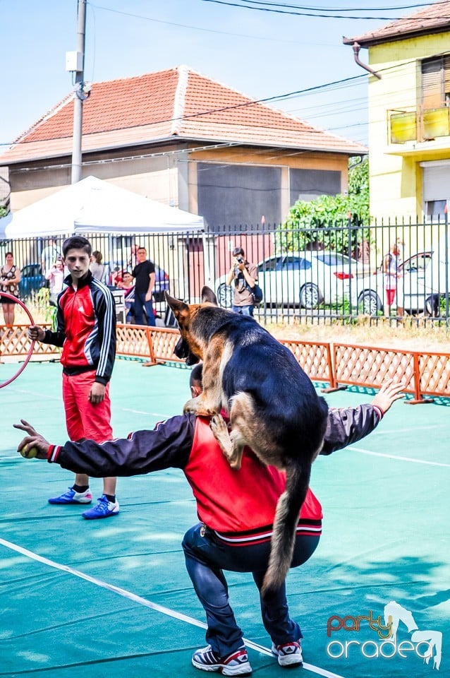 Expozitie canina, Oradea