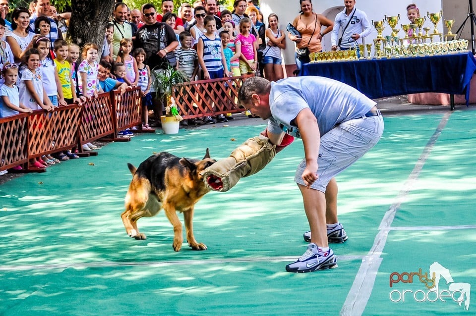 Expozitie canina, Oradea