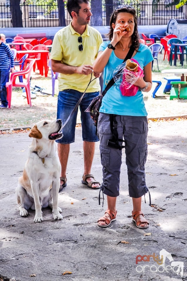 Expozitie canina, Oradea