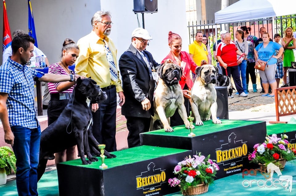 Expozitie canina, Oradea