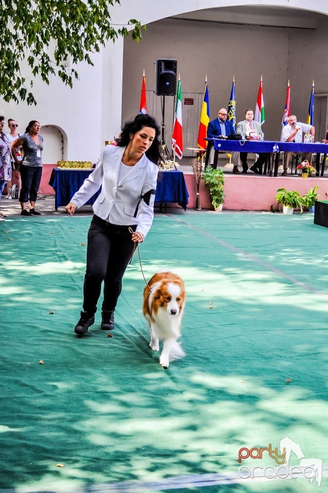 Expozitie canina, Oradea