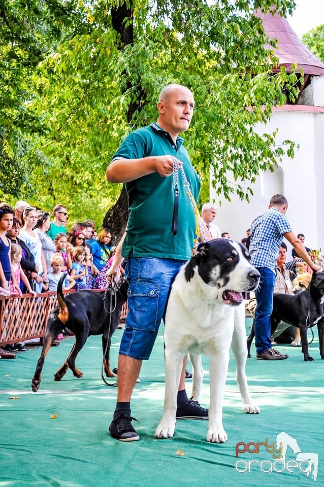 Expozitie canina, Oradea