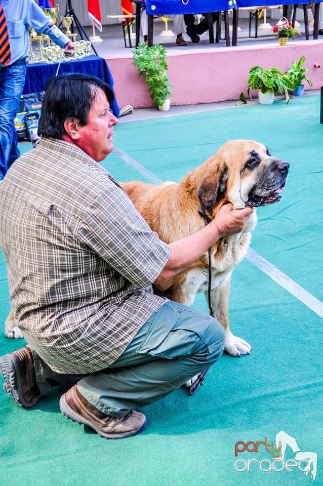 Expozitie canina, Oradea