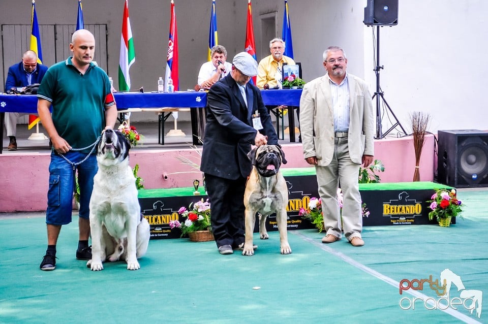 Expozitie canina, Oradea