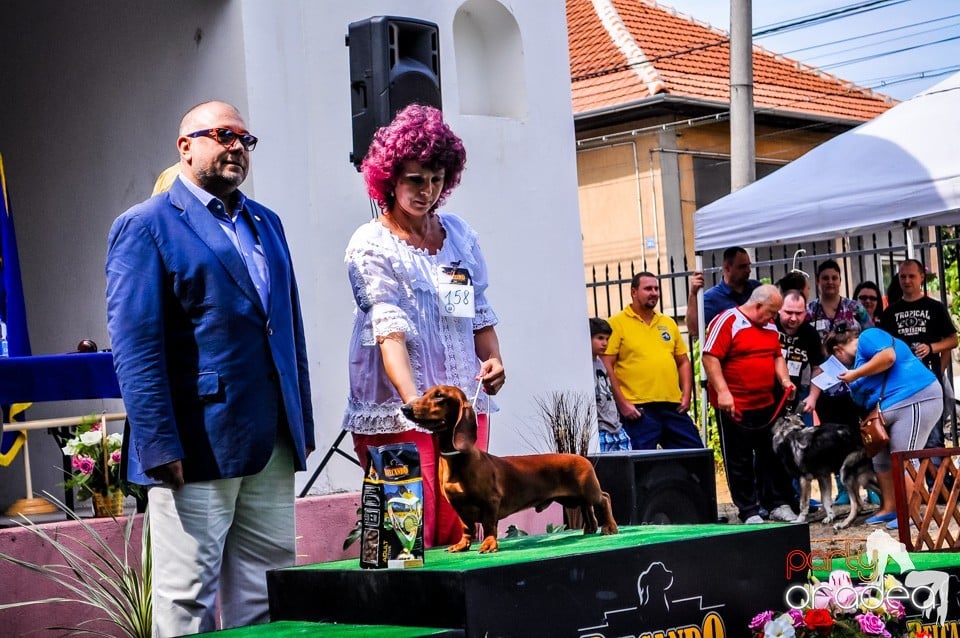 Expozitie canina, Oradea