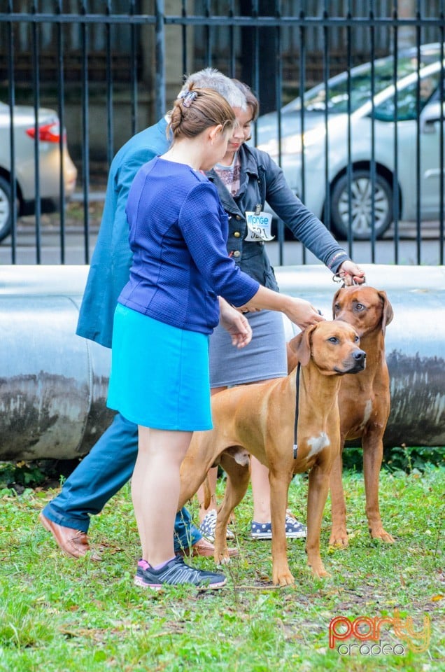 Expoziţie canină, Oradea