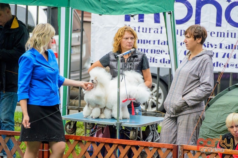 Expoziţie canină, Oradea