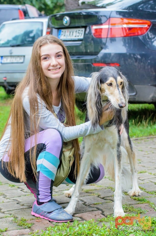 Expoziţie canină, Oradea