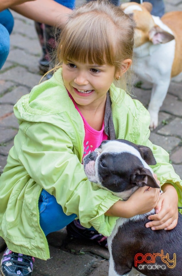 Expoziţie canină, Oradea