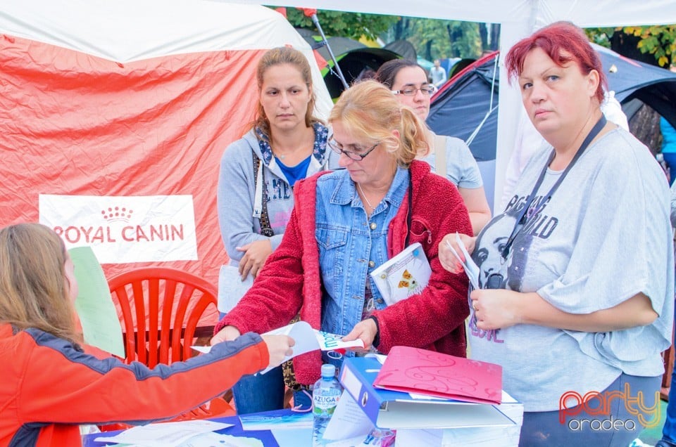 Expoziţie canină, Oradea