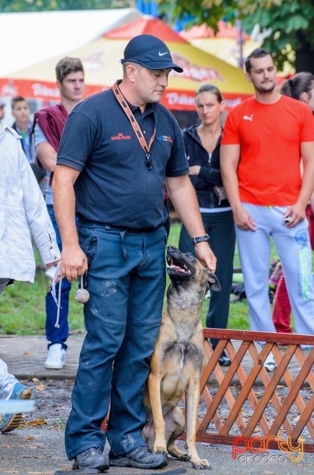 Expoziţie canină, Oradea