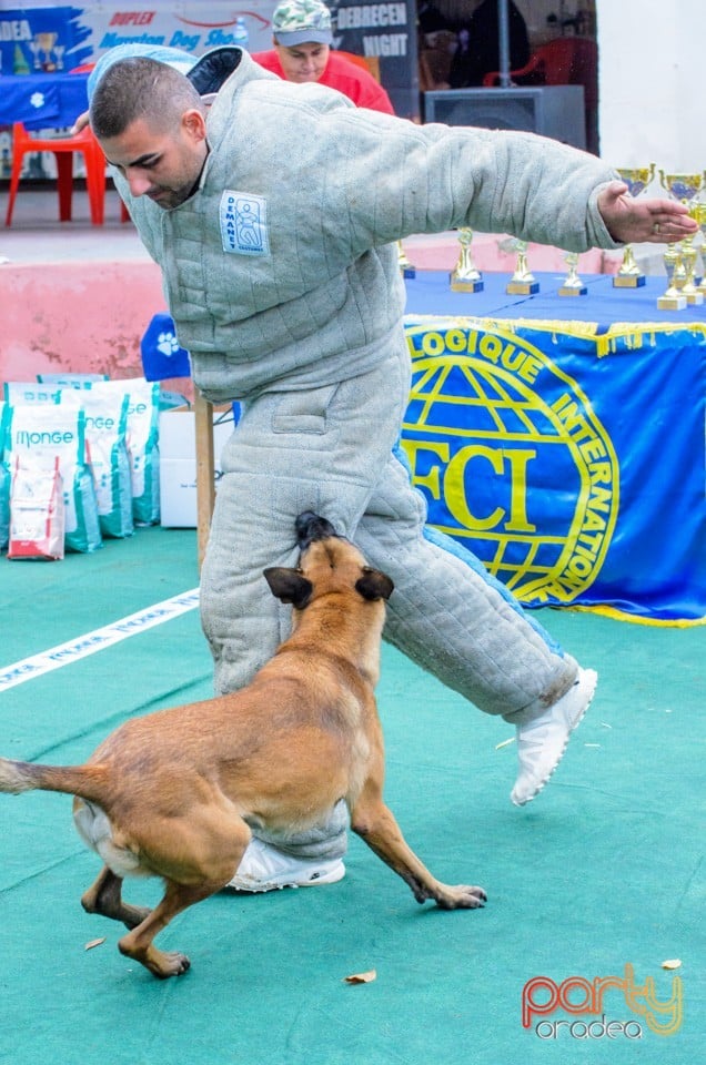 Expoziţie canină, Oradea