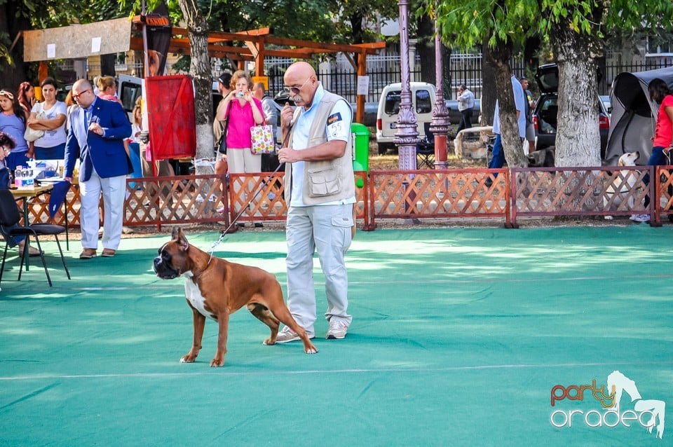 Expozitie canina, Oradea