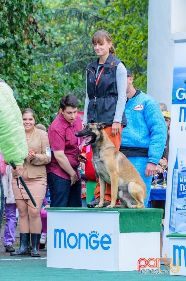 Expoziţie canină, Oradea
