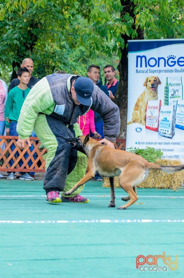 Expoziţie canină, Oradea