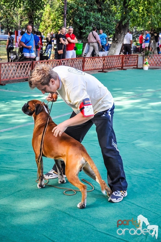 Expozitie canina, Oradea