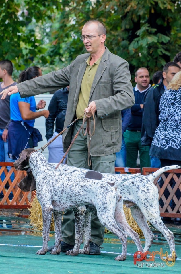 Expoziţie canină, Oradea