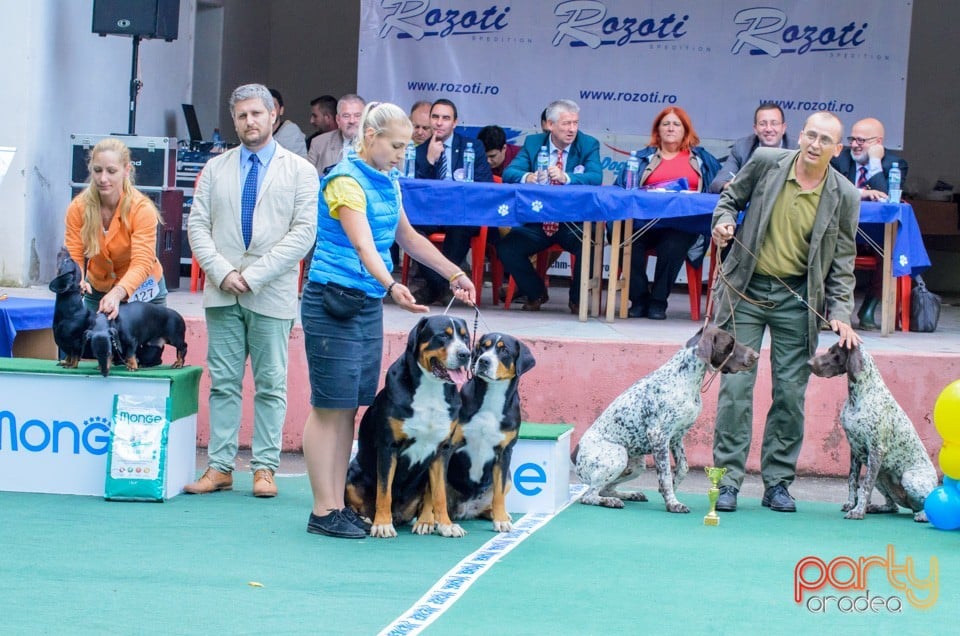 Expoziţie canină, Oradea